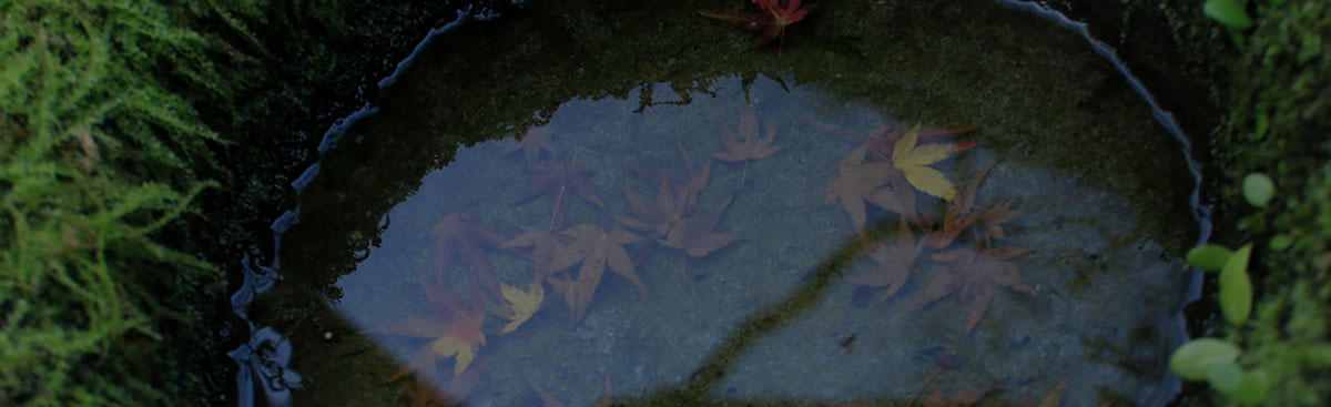 個人情報の取り扱いについて