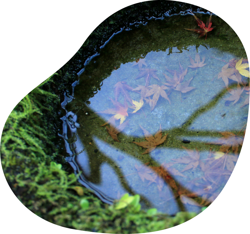 湯の峰温泉 イメージ