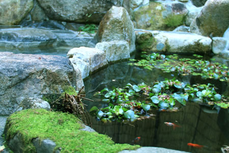 湯の峰温泉イメージ3