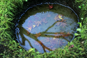 湯の峰温泉イメージ4
