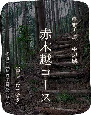 熊野古道　中辺路赤木越コース